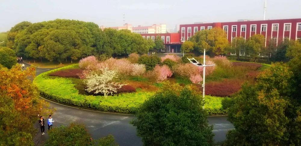 权威发布|苏州托普信息职业技术学院2021统招报考指南