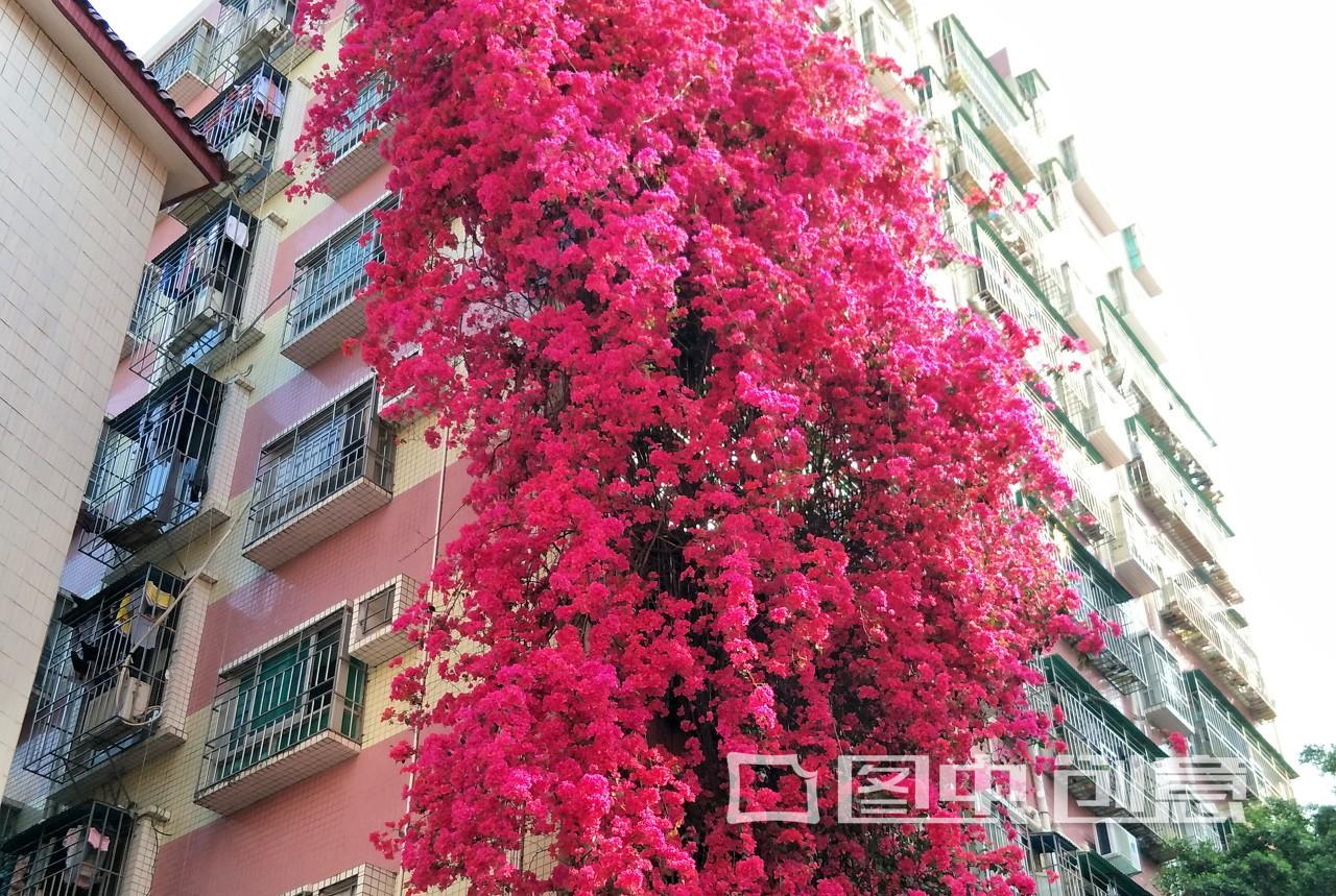 农村十款阳台设计,漂亮的阳台设计露天