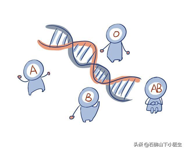 abo血型系统中什么血型最好,血型里面什么血型最好