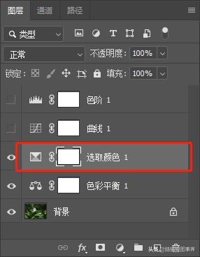 春天拍摄的绿叶怎么拍,春天的花朵怎么拍摄照片