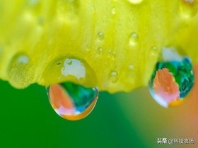 大暑的俗语有哪些,关于大暑的俗语有哪些