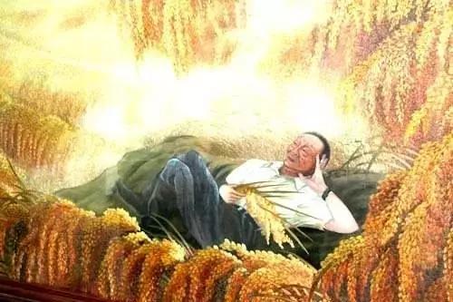 袁隆平麦田的守望者图文并茂,袁隆平麦田的守望者手抄报