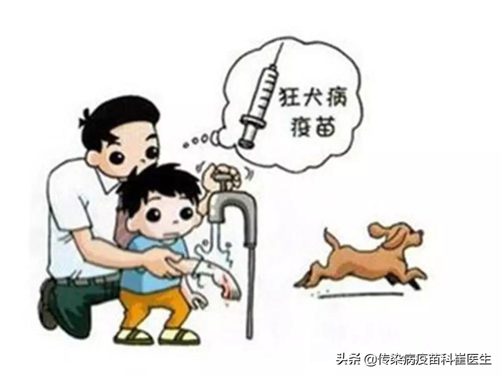 被猫咬伤了轻微出血会有事吗,猫没有狂犬病抓出血了会传染吗