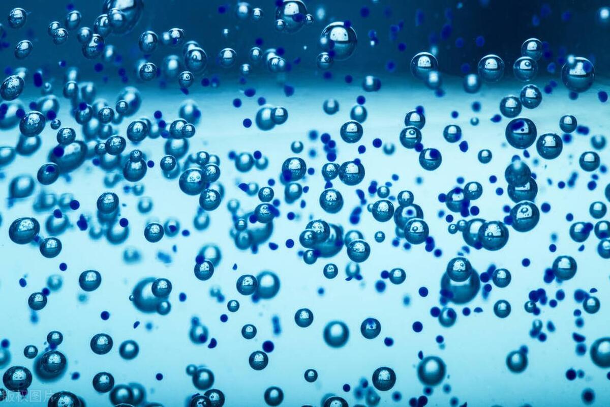 进化论错误怎么回事,进化论真的是错的吗