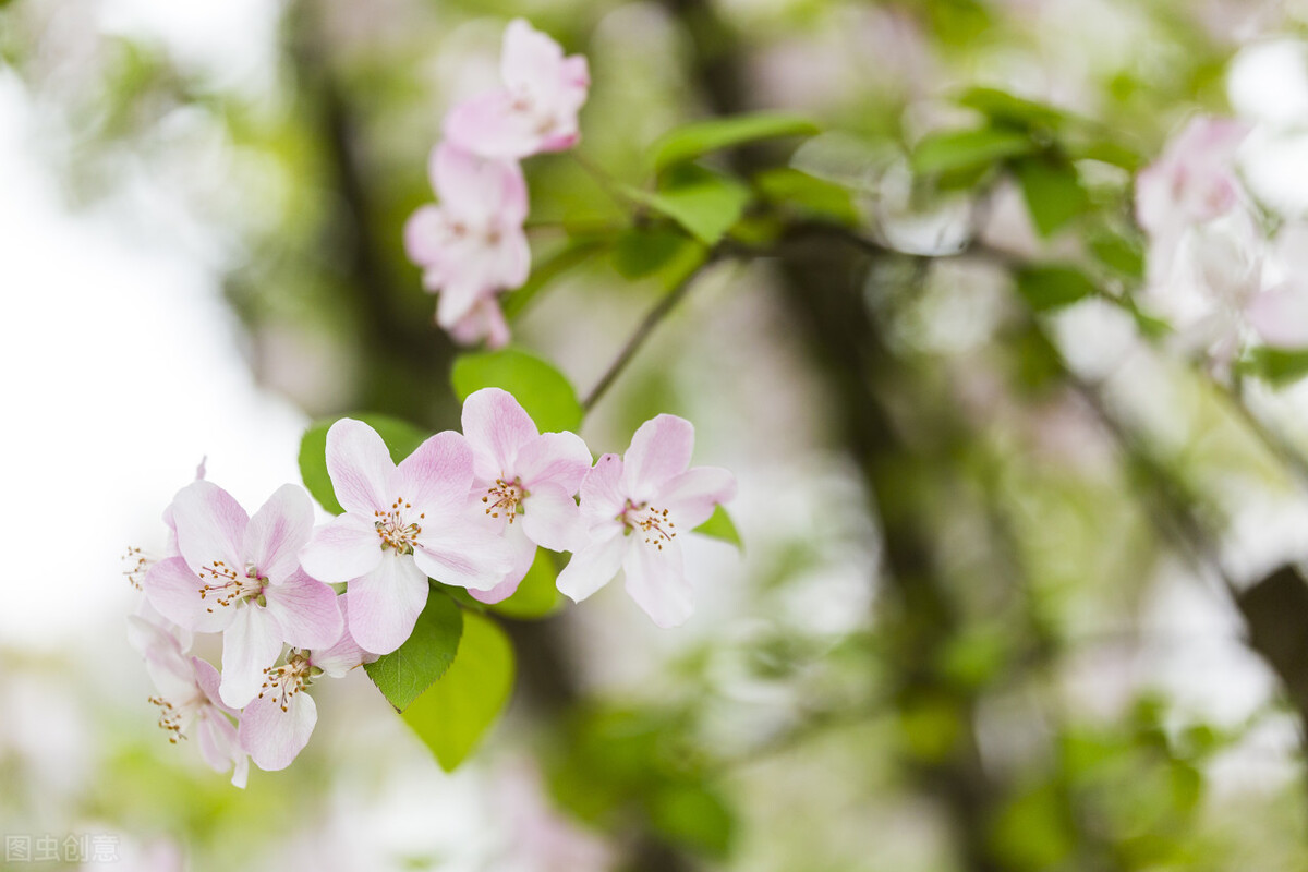 如果你朋友喜欢的人喜欢你怎么办,和朋友喜欢上同一个人该怎么办
