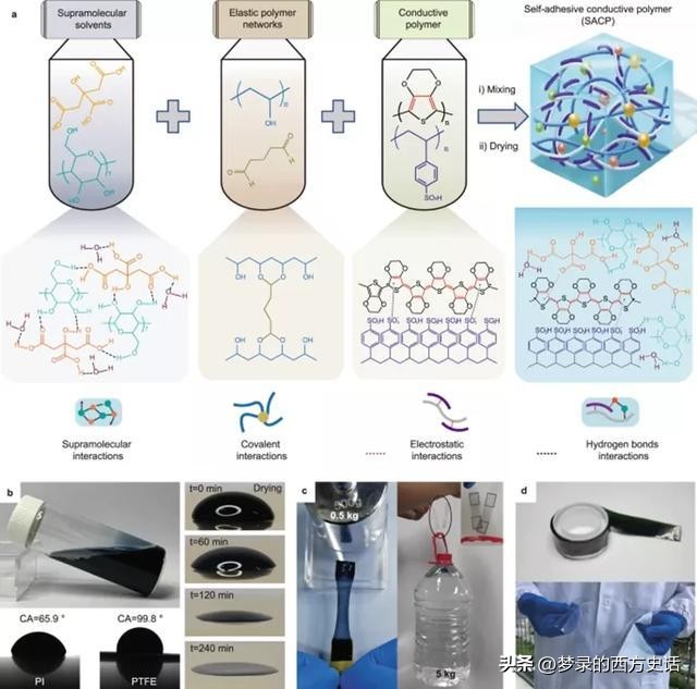 纤维和结晶纳米纤维素对醋酸纤维素膜的增强作用