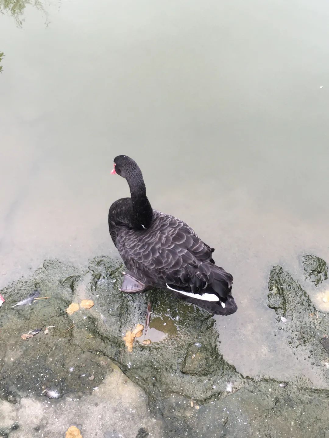 旭光电动车行,旭光车行向阳路