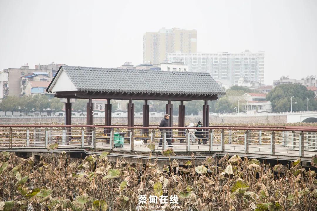 武汉气温回升,武汉气温回暖最新消息