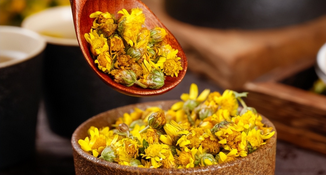 出伏喝党参和黄芪,伏天适合喝菊花茶