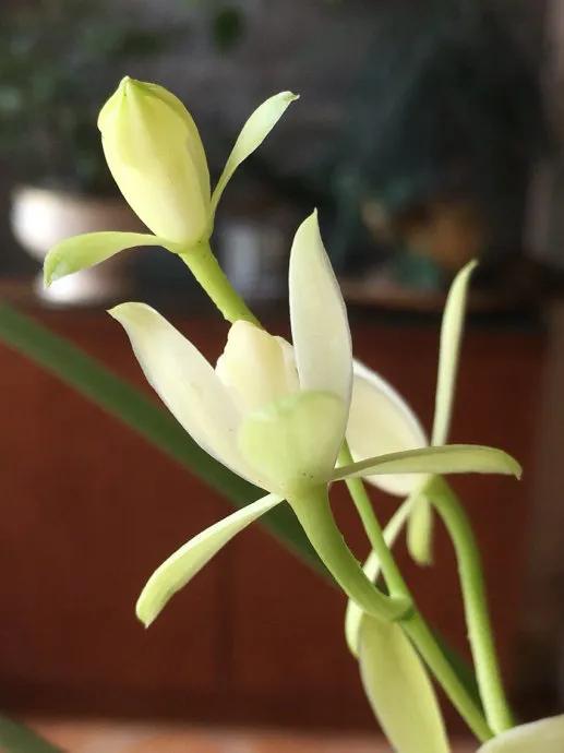 狂客上联,狂客七字对联上联