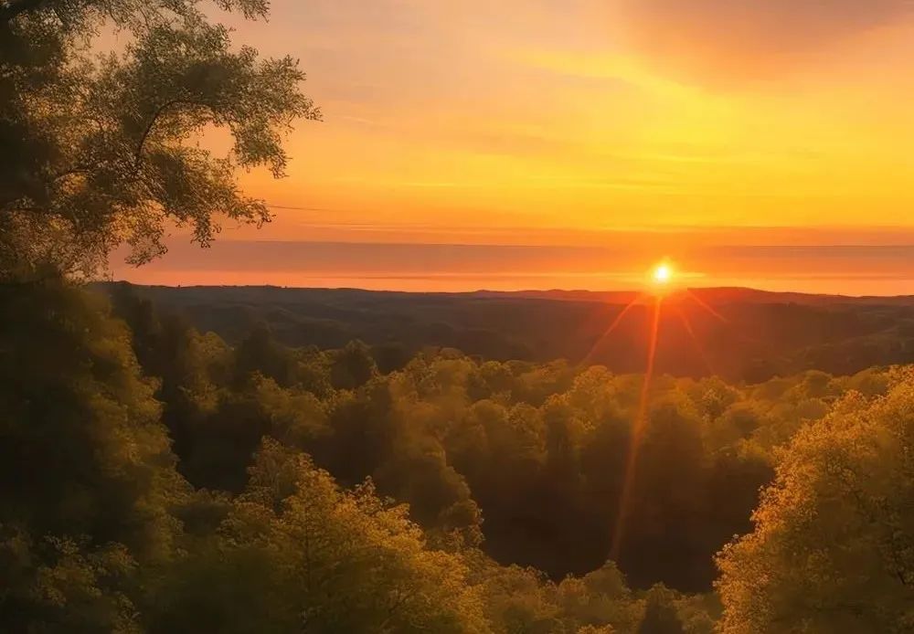复盘笔记及展望,复盘这一年感触颇深