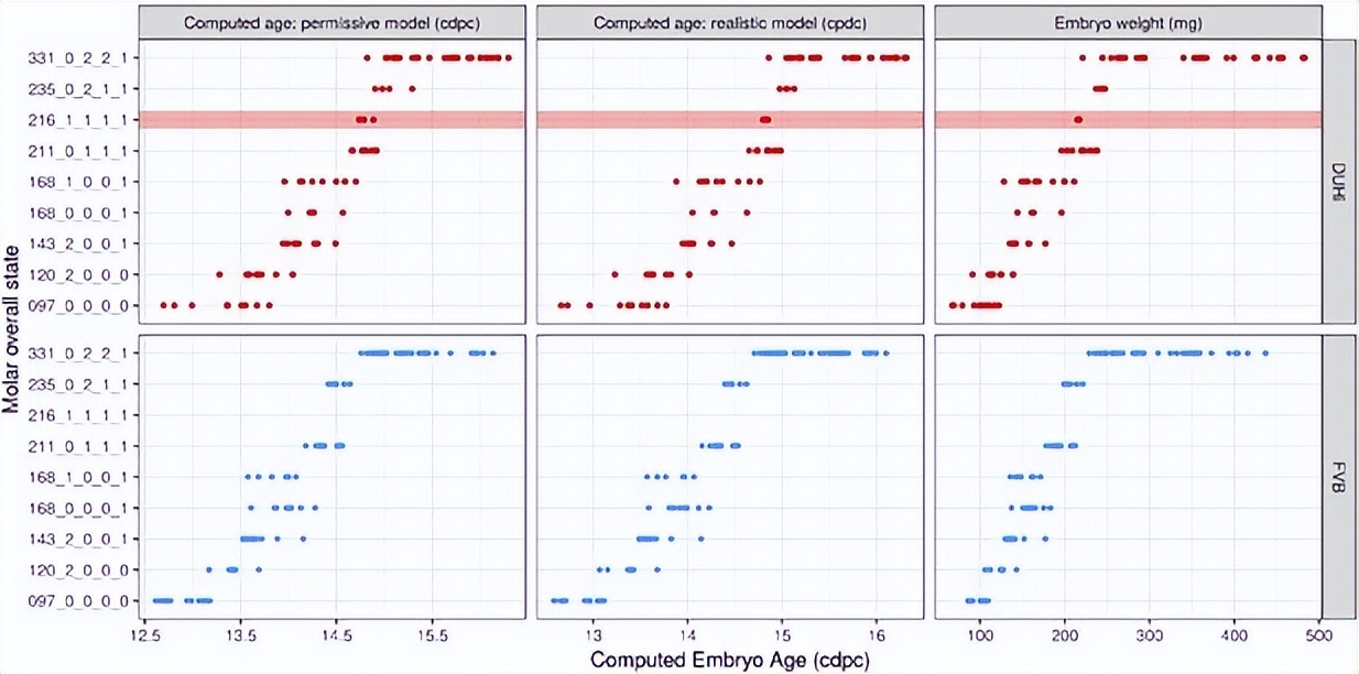 基于小鼠磨牙进化演变，研究其发育变异性通道的进化过程