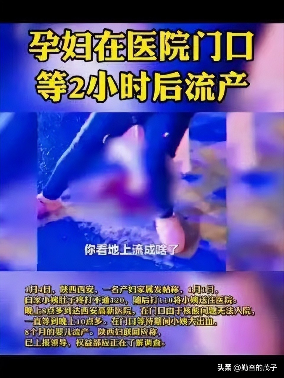 志愿者被骂在哪里投诉,被骂志愿者回应