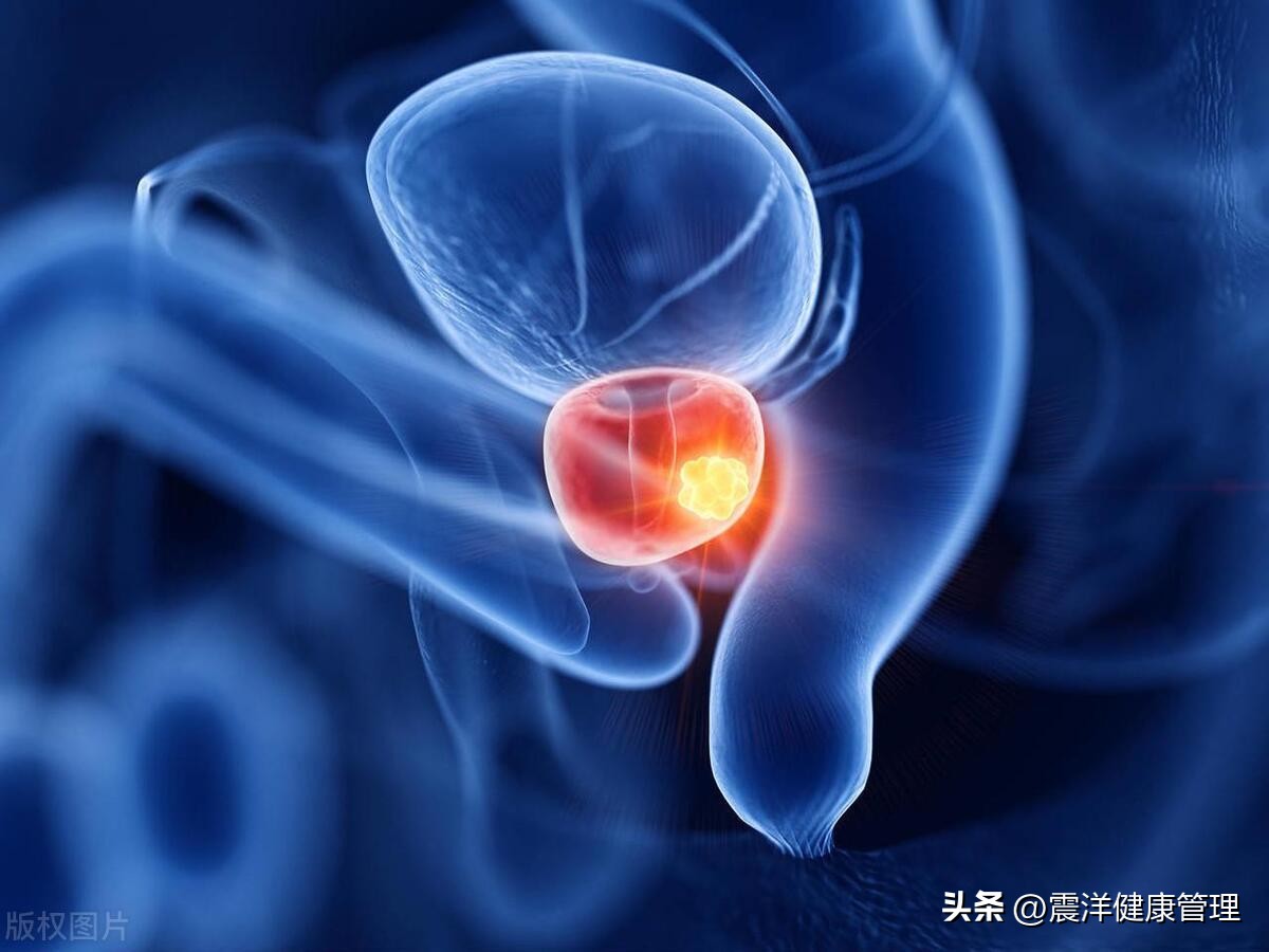 在私人影院，男友突然来了感觉，我慌忙中踢中他的蛋蛋，痛了整天