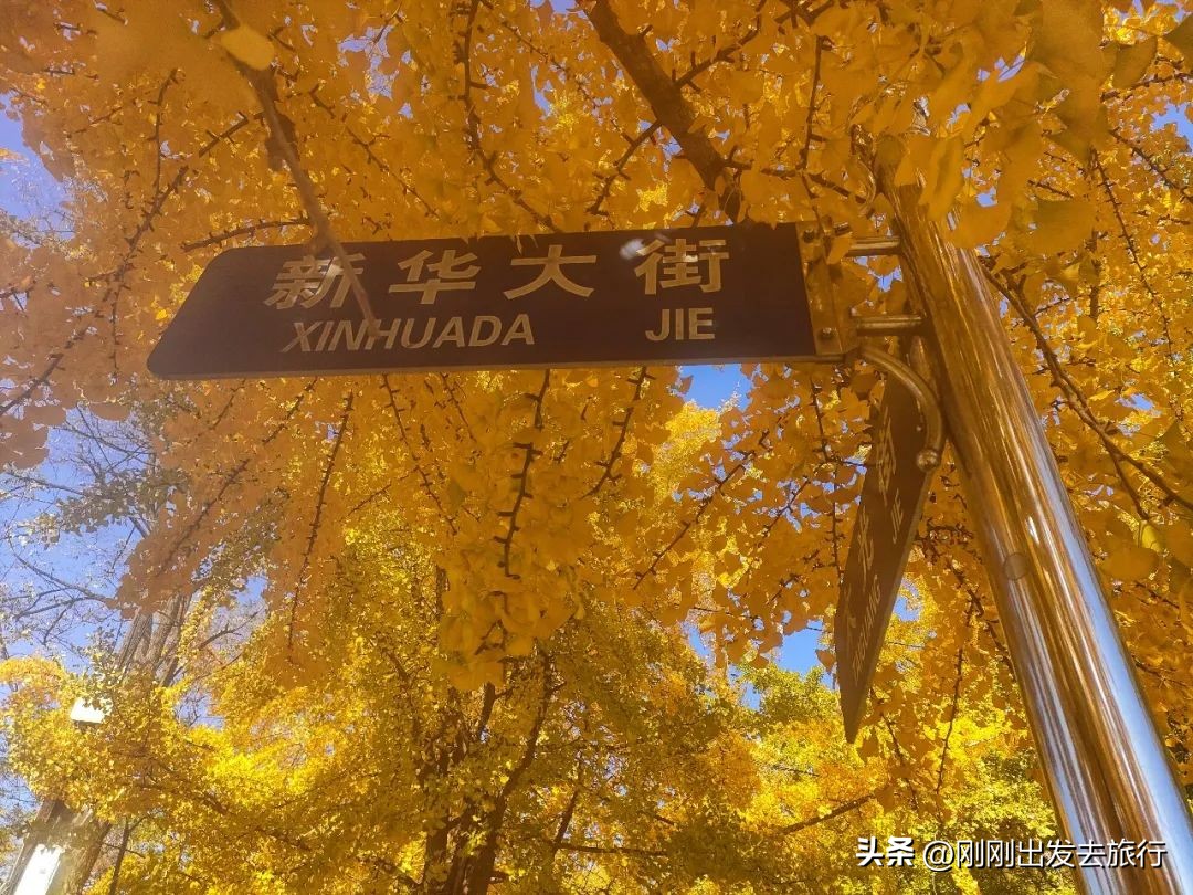 大连旅顺口景区旅游景点,抚顺旅顺太阳沟景区一日游