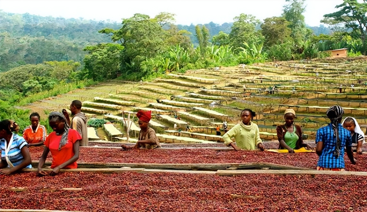 女大学生毕业后被外派非洲，年薪15万，现在无时无刻不想回国