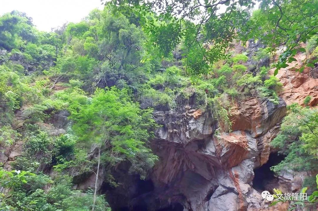 冬樱散场菜花香，蜂飞花间采蜜忙：用一天的时间去邂逅乡野风光