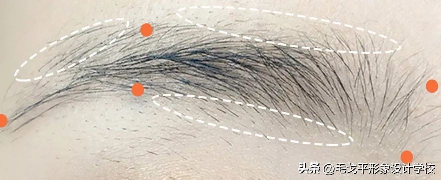 新手画眉修眉最简单方法,手残党先修眉还是先画眉