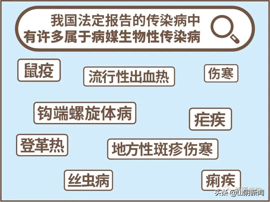 身边常见的动物传染病有哪些,动物之间传播的传染病