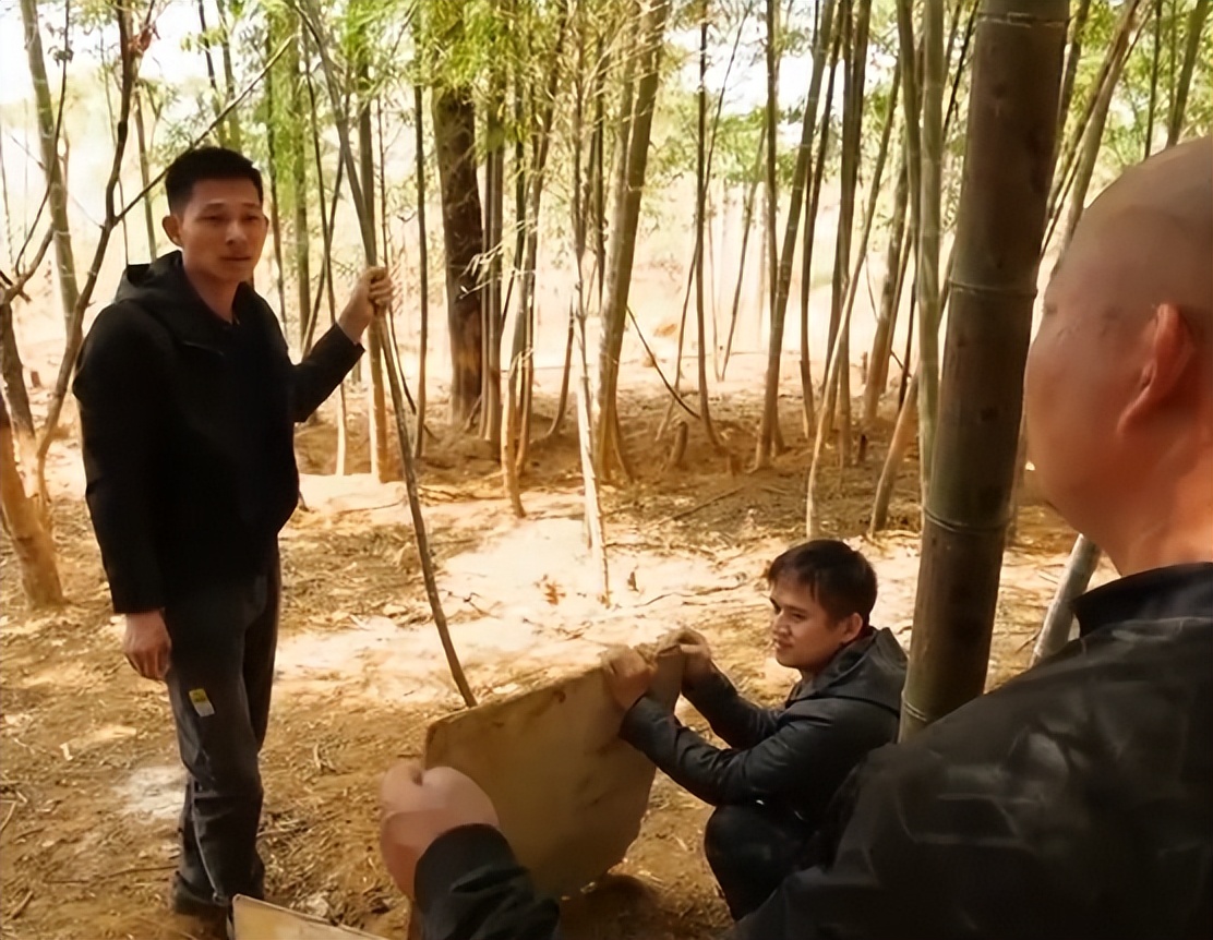 福建男子养“跳跳猪”，一斤猪肉最高卖出125元，年销售额达600万