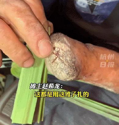 瘫痪女孩做黏土,截瘫女孩坚持苦学12年