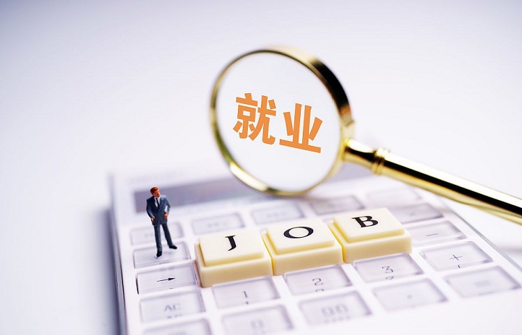 函授网络教育自考成人教育的区别,函授和网络教育本科学历哪个好