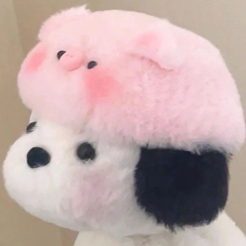 可可爱爱的宠物头像,可可爱爱小熊头像