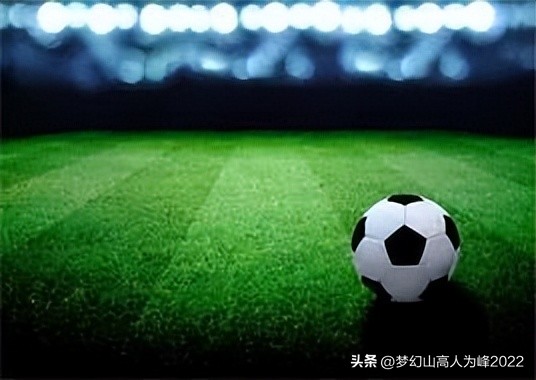 专业足球场草皮,专业足球场多大