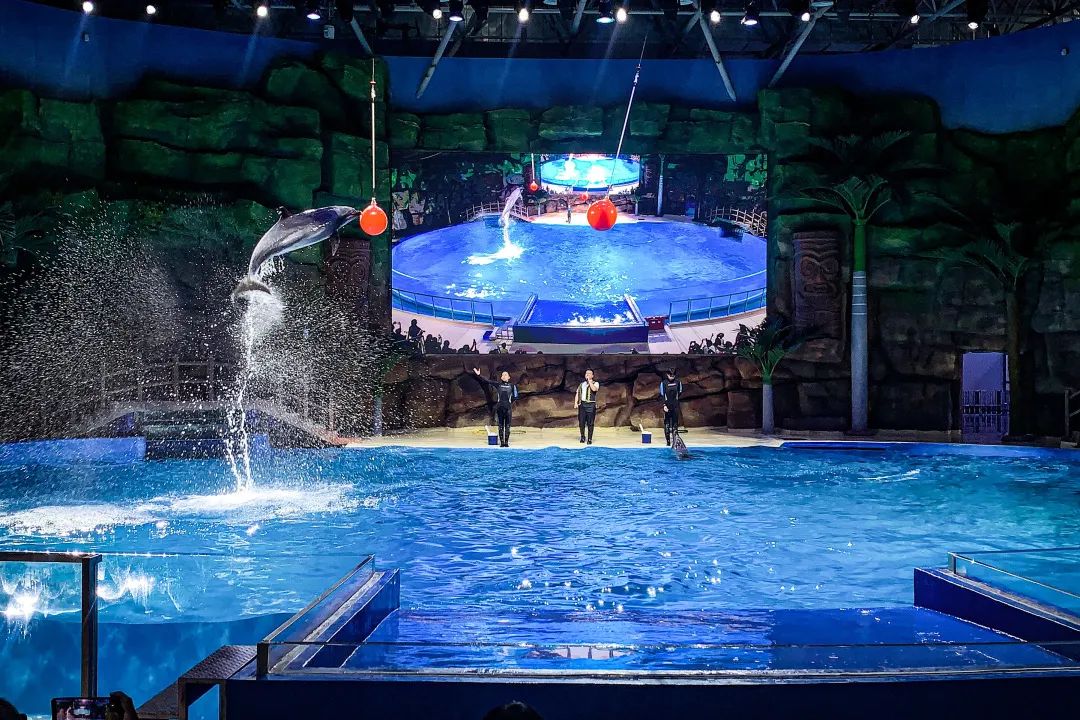 最全保姆级旅游攻略,嘉兴一日游保姆级攻略