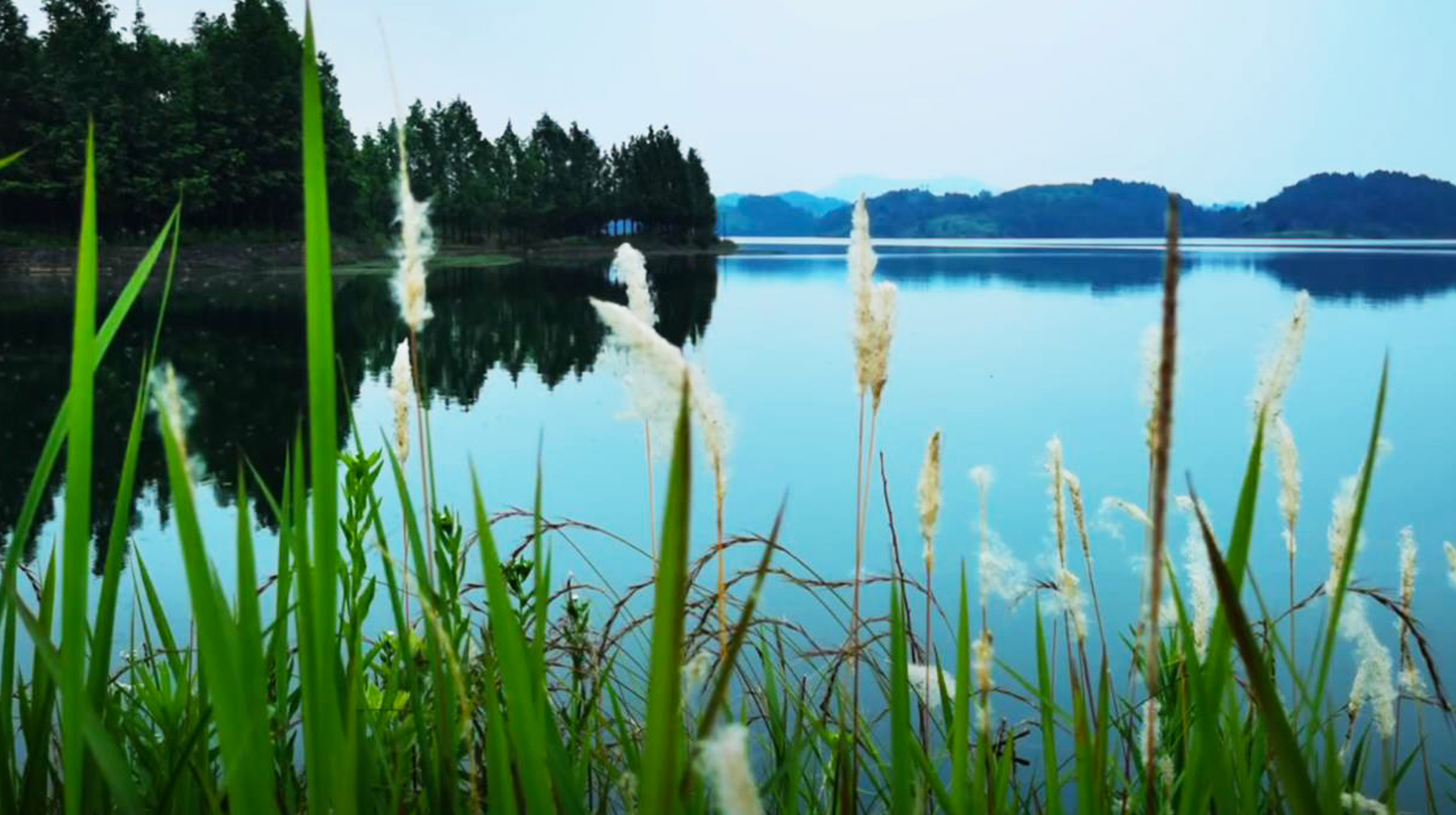 武汉到木兰天池旅游攻略,武汉木兰湖自驾游攻略