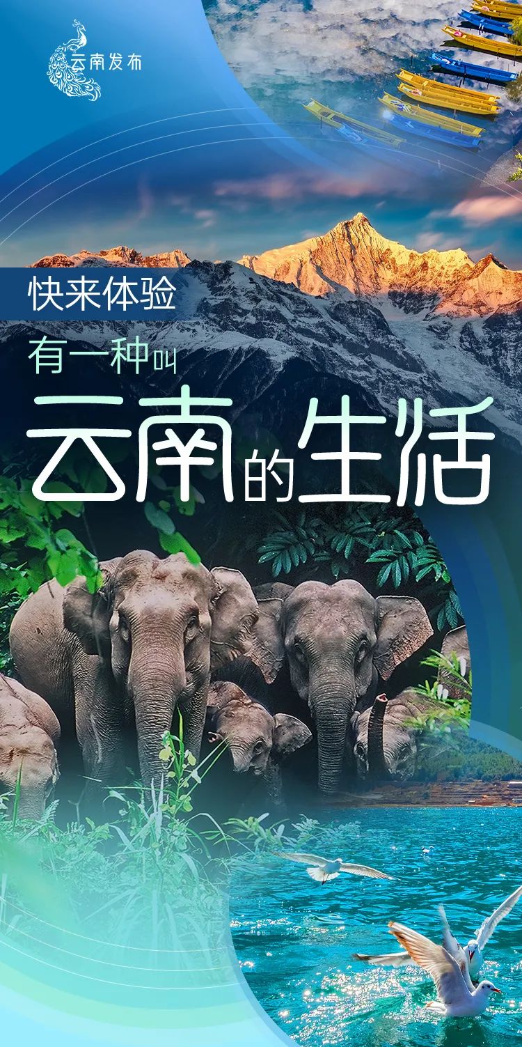 有一种生活叫做云南的生活,有一种叫云南的生活原文