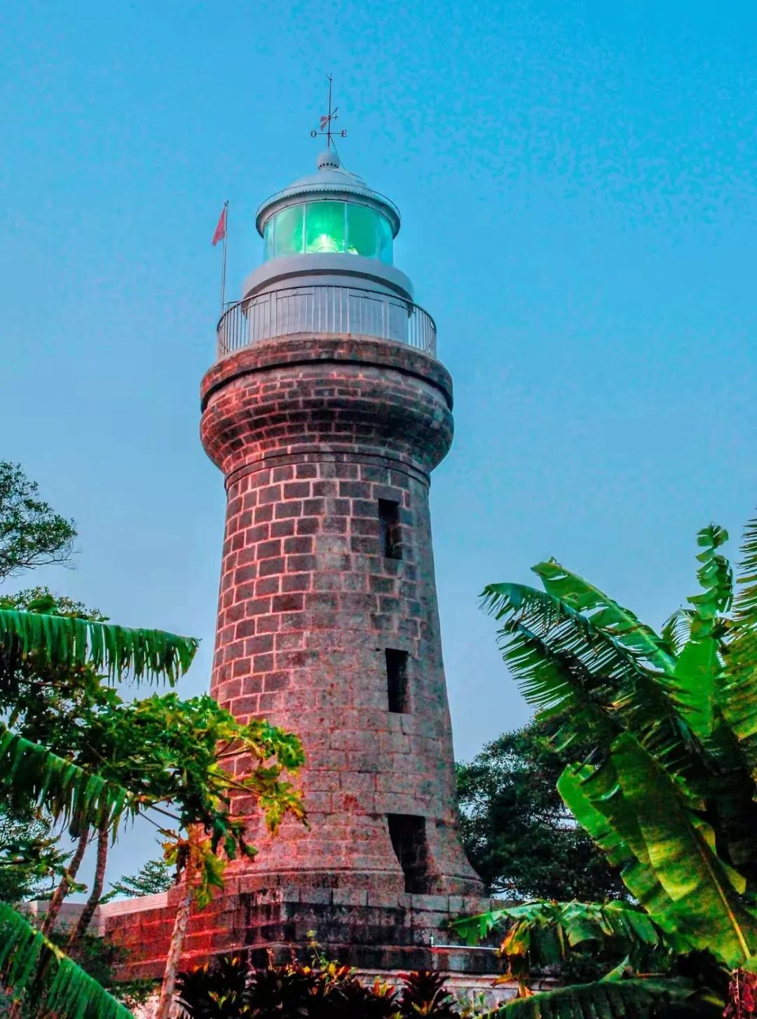 广东湛江乡村振兴实例,湛江麻章区乡村振兴助农