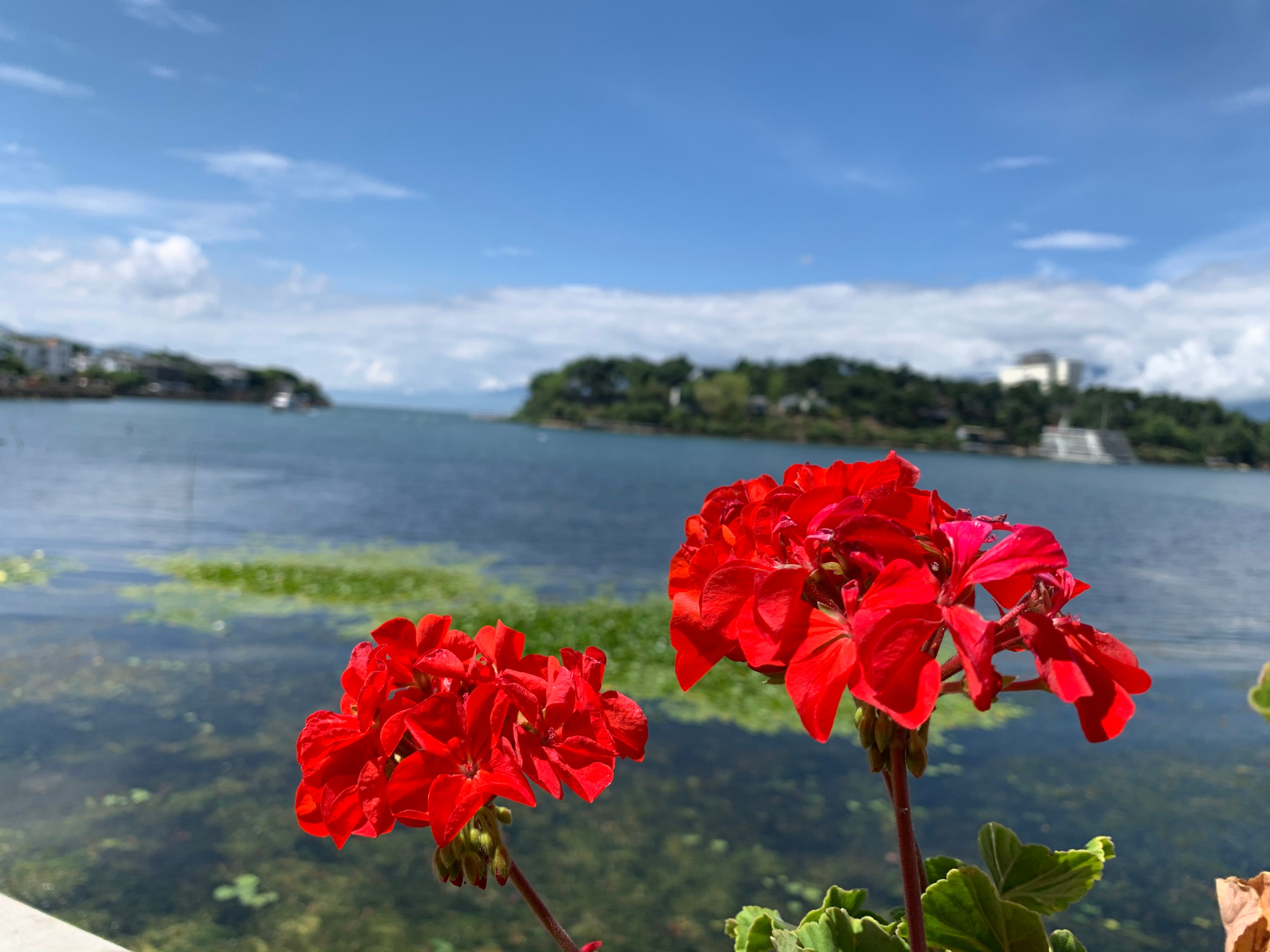 四川成都到云南腾冲自驾游攻略,成都到云南自驾游预算