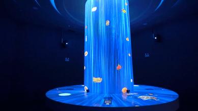 珠海斗门金湾遛娃好去处免费,金湾遛娃好去处