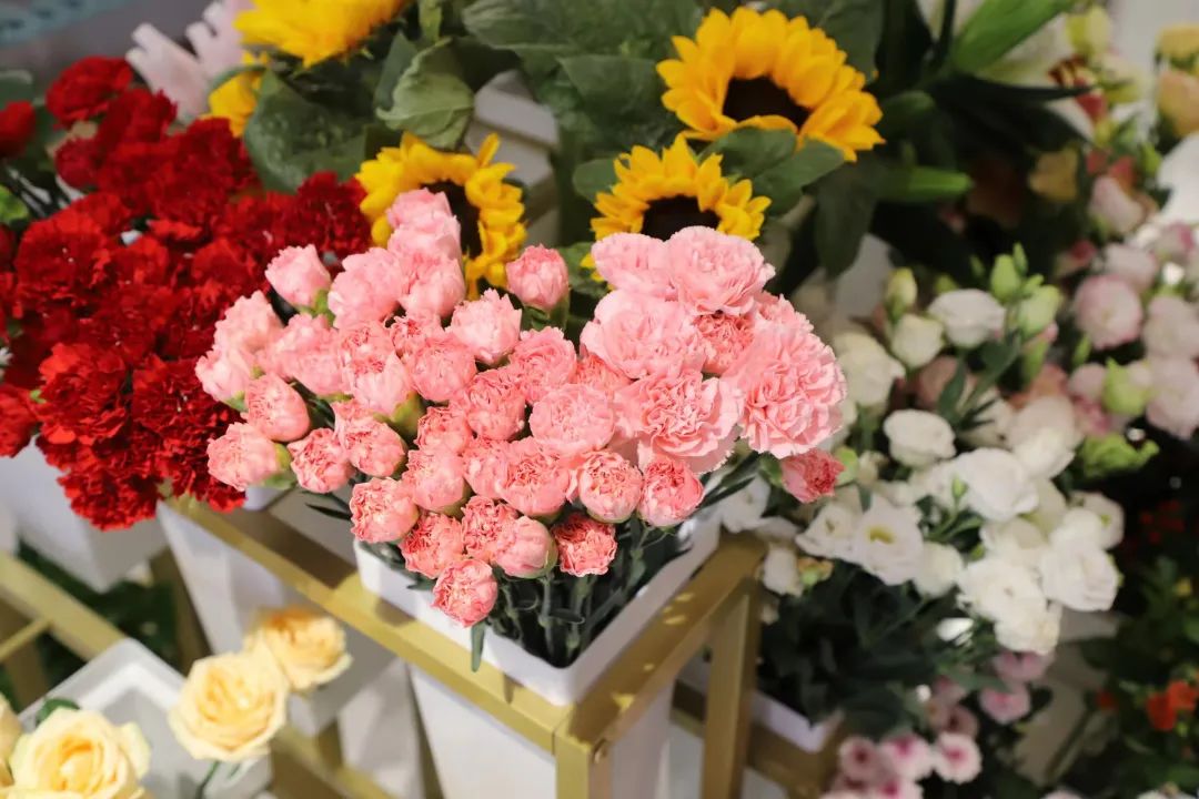 惊艳！！！西译商业街上线