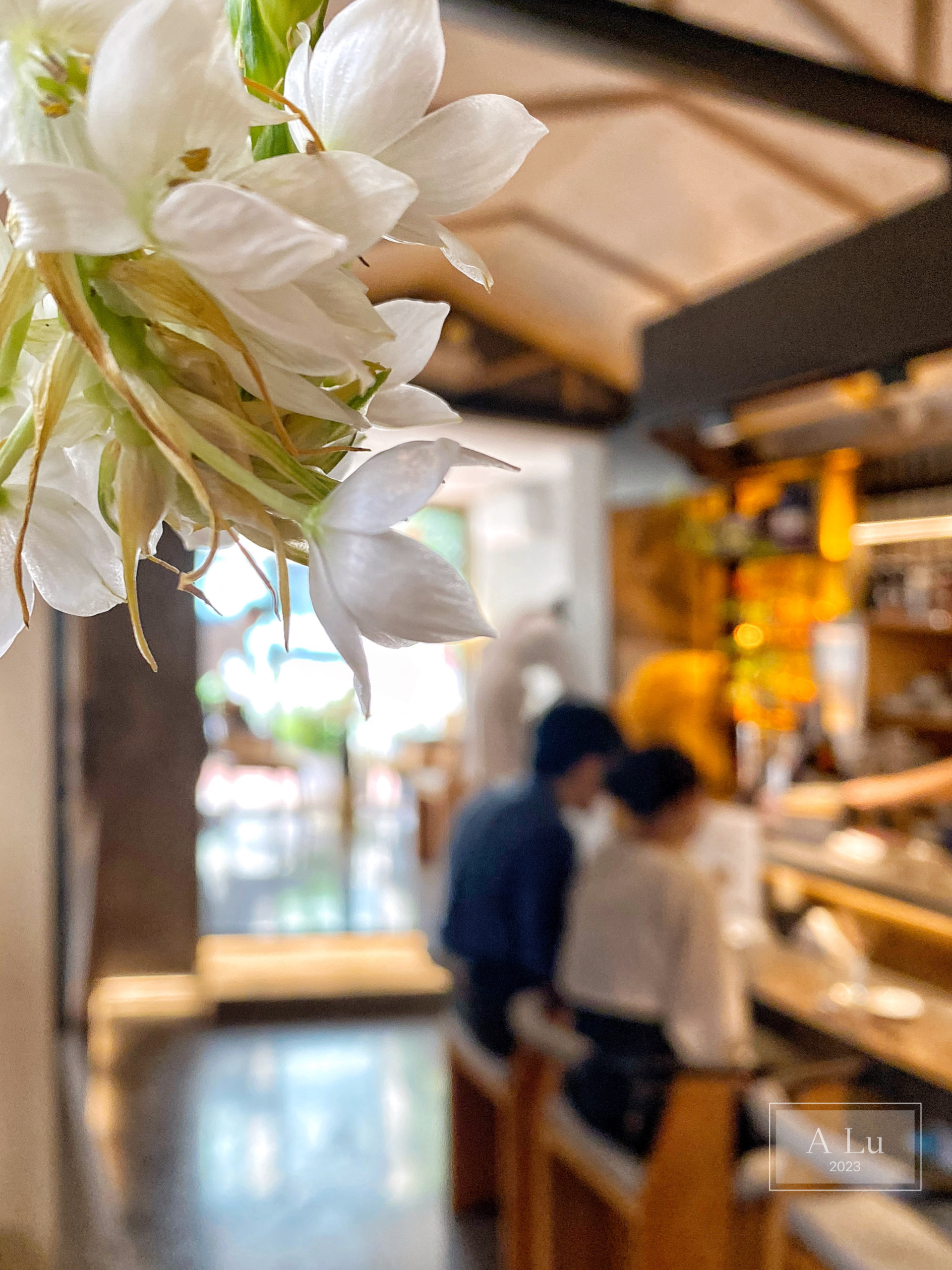 藏得很深的店探店,藏的很深的店