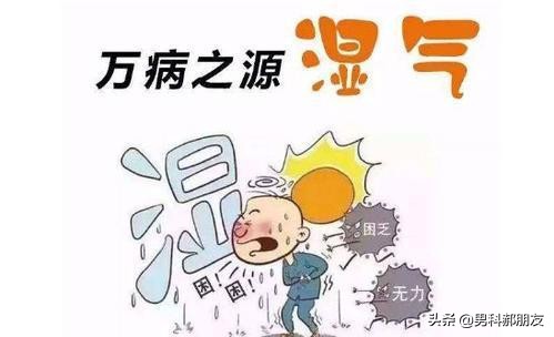 湿气重后果,湿气重怎么办如何快速改善呢