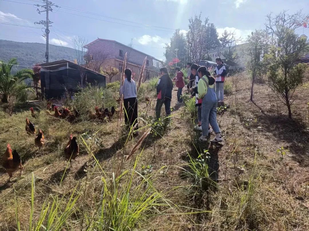 这波操作真的“666”，泸西的这些小学生有点儿“意思”……