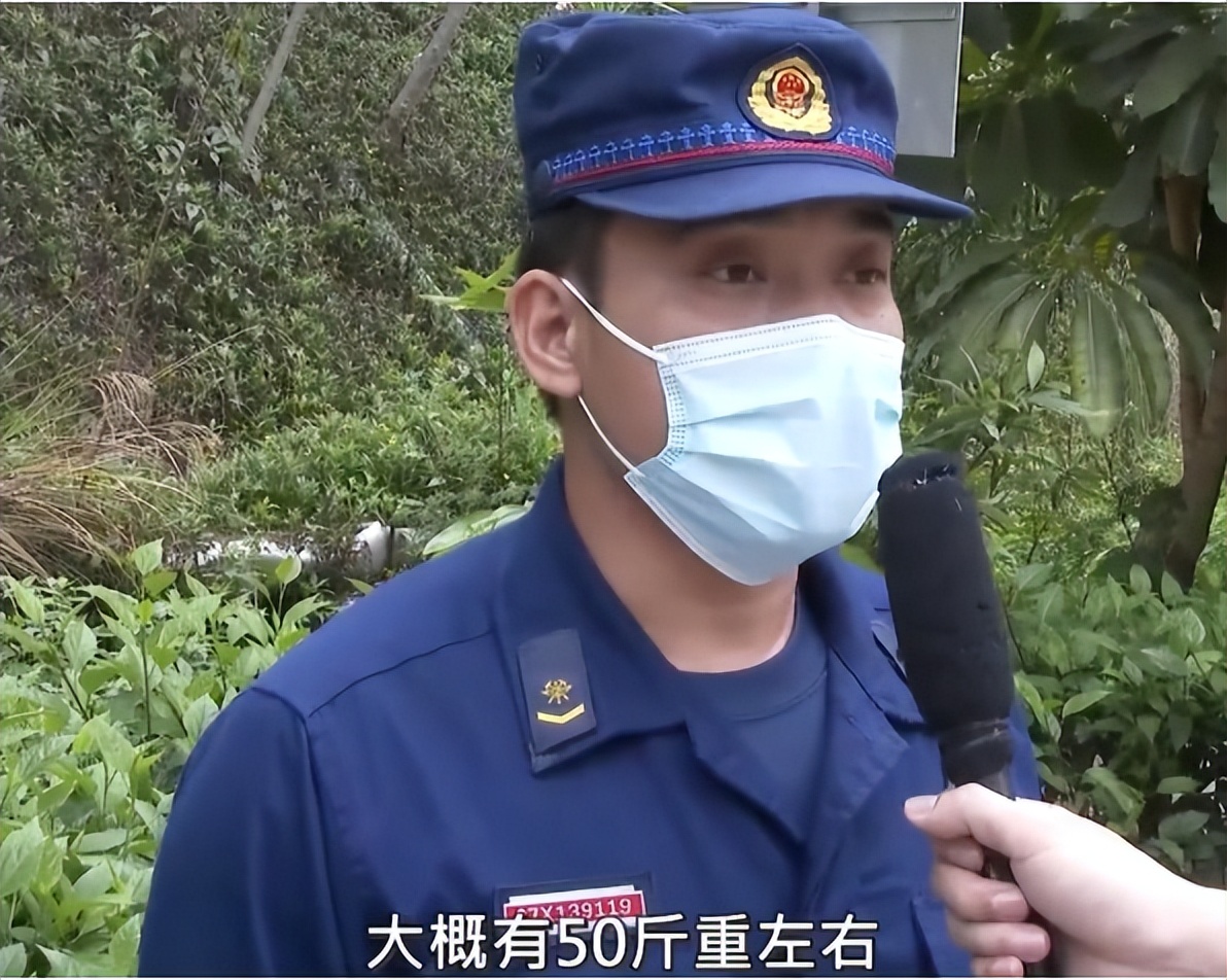 深圳一室内惊现近2米长蟒蛇,吓人深圳居民家中惊现20斤大蟒蛇