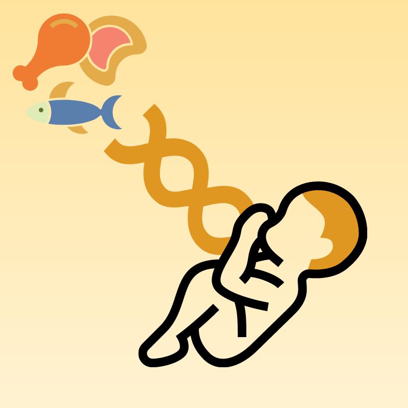 孕妇缺蛋白质怎么补,孕妇每天补充多少肉蛋奶