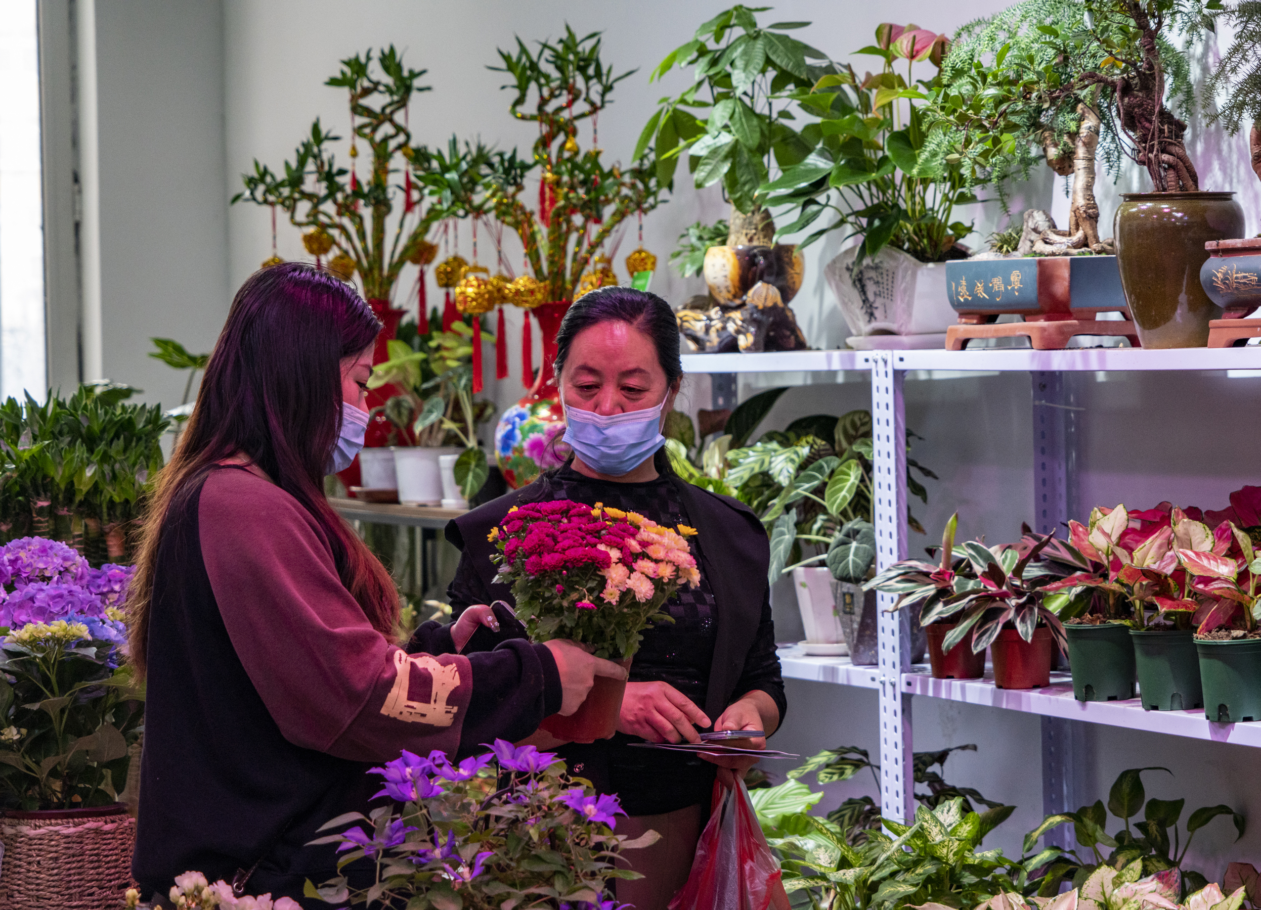 沈阳老北市场花鱼市场开业了吗,沈阳老北市场花鱼