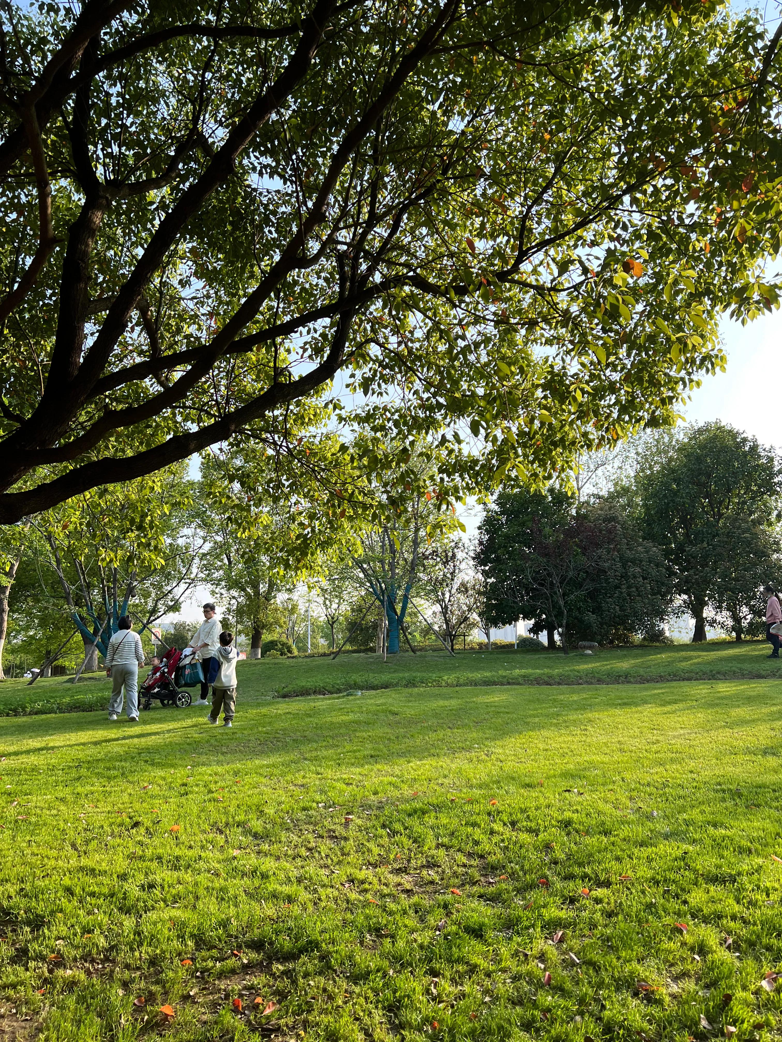 武汉园博园自然博物馆,武汉园博园门票