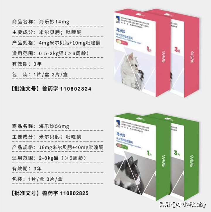 新手养猫铲屎官攻略,新手养猫驱虫知识