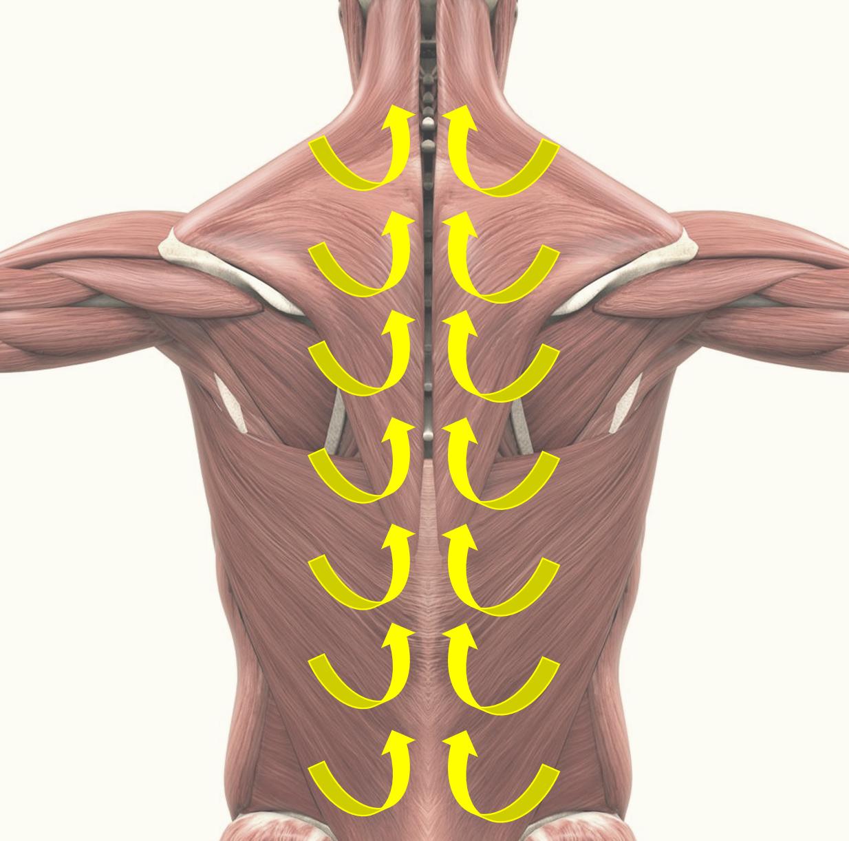 富士按摩椅jp3000测评,富士jp2500按摩椅