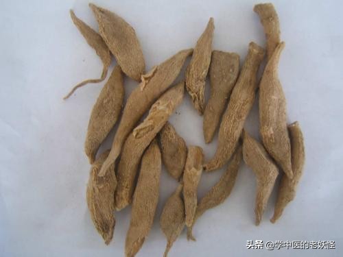 每天学一味中药郁金,有一味中药叫郁金