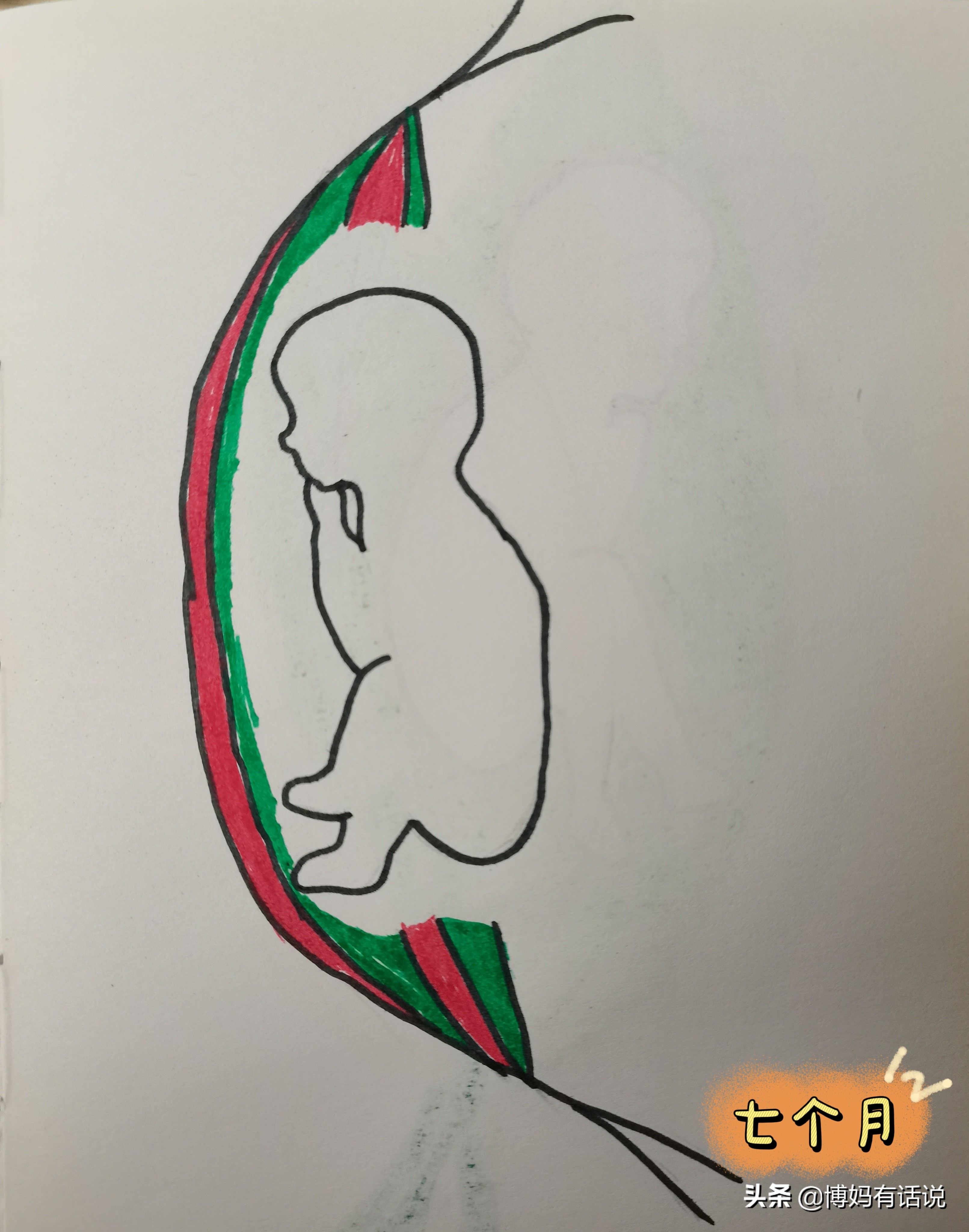 孕期各阶段产检项目,怎么知道孕期查什么