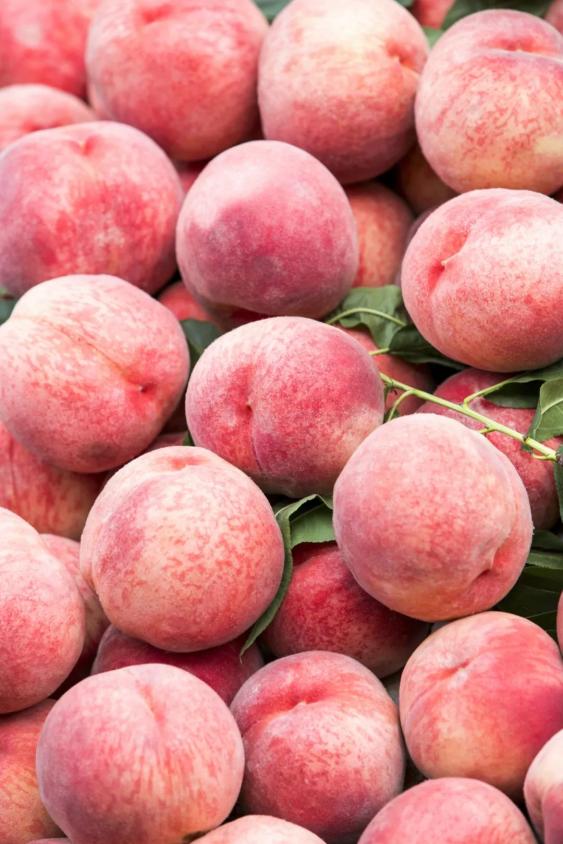 秋季应该吃什么水果好,盛夏最适合孩子的水果