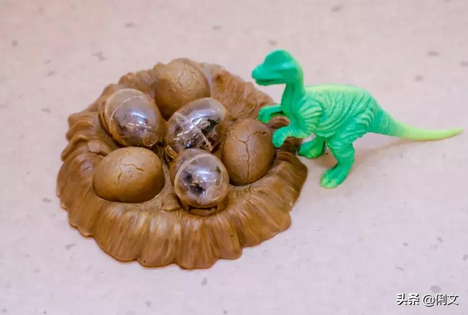 开学环创做起来,幼儿园开学主题墙环创布置