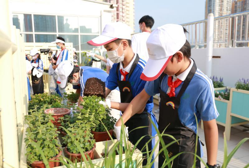 北斗小学教学视频,北斗小学教育集团