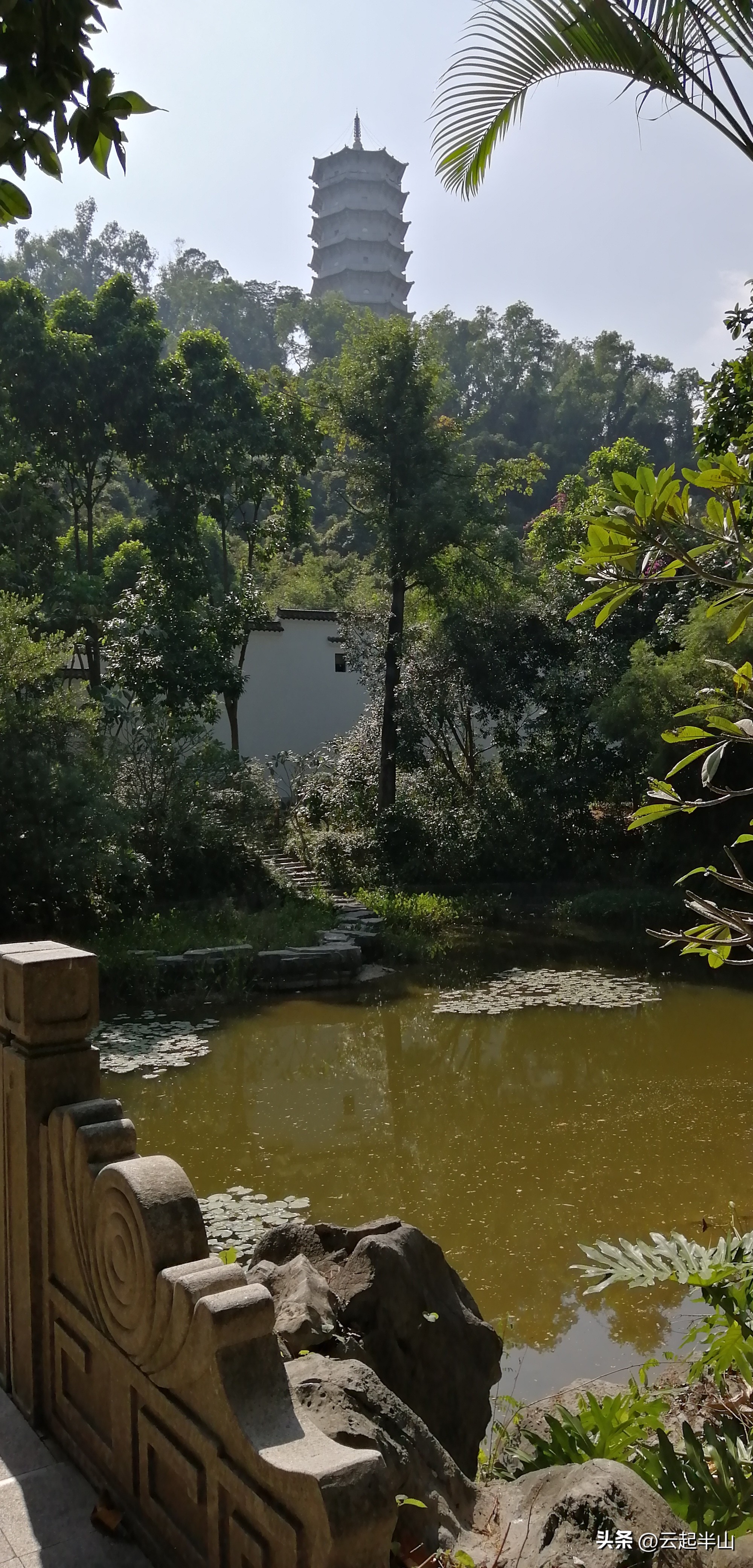 浅浅地玩、深深的圳